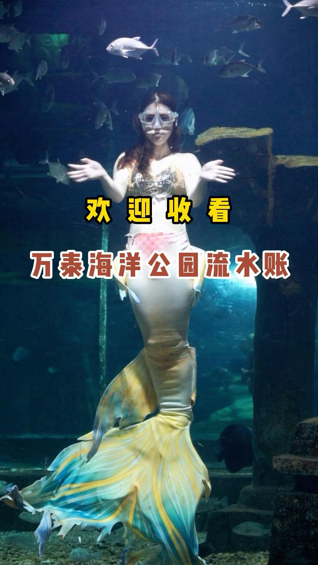 万泰海洋公园,最喜欢美人鱼表演