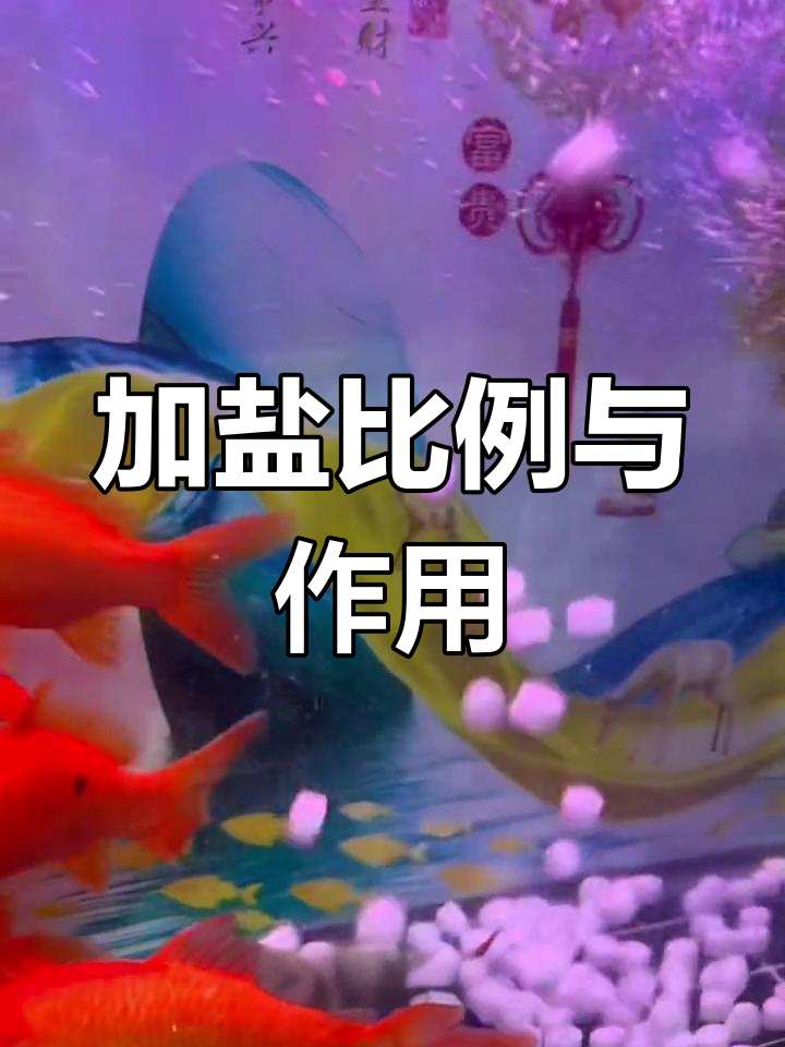 锦鲤加盐技巧:如何正确使用鱼缸盐