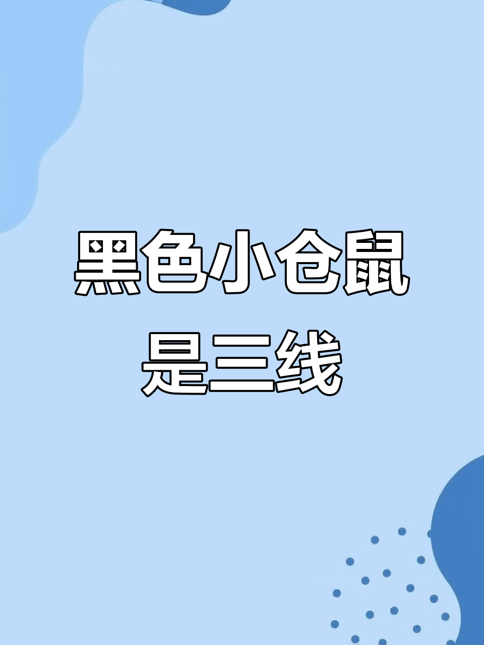 布丁和布丁配对,竟然生出三线仓鼠!