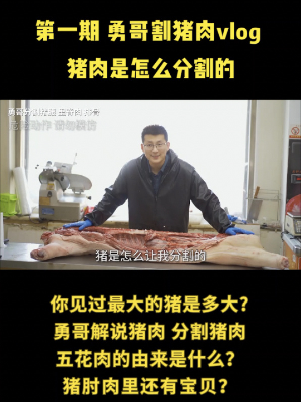 猪肉原来是这样分割的,你知道吗?
