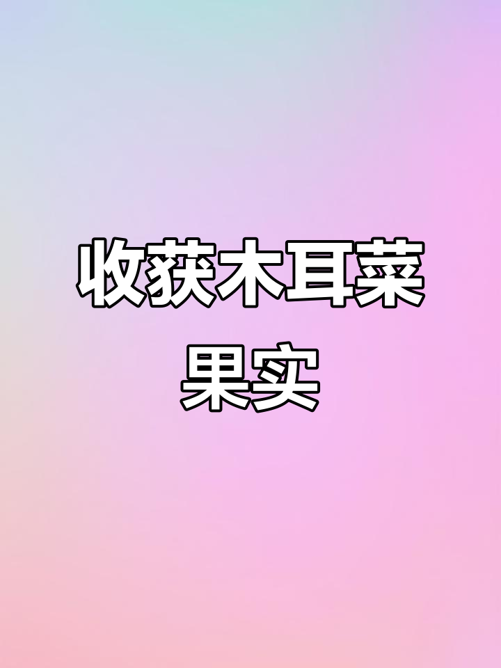 木耳菜开花结果，阳台种菜的惊喜与挑战