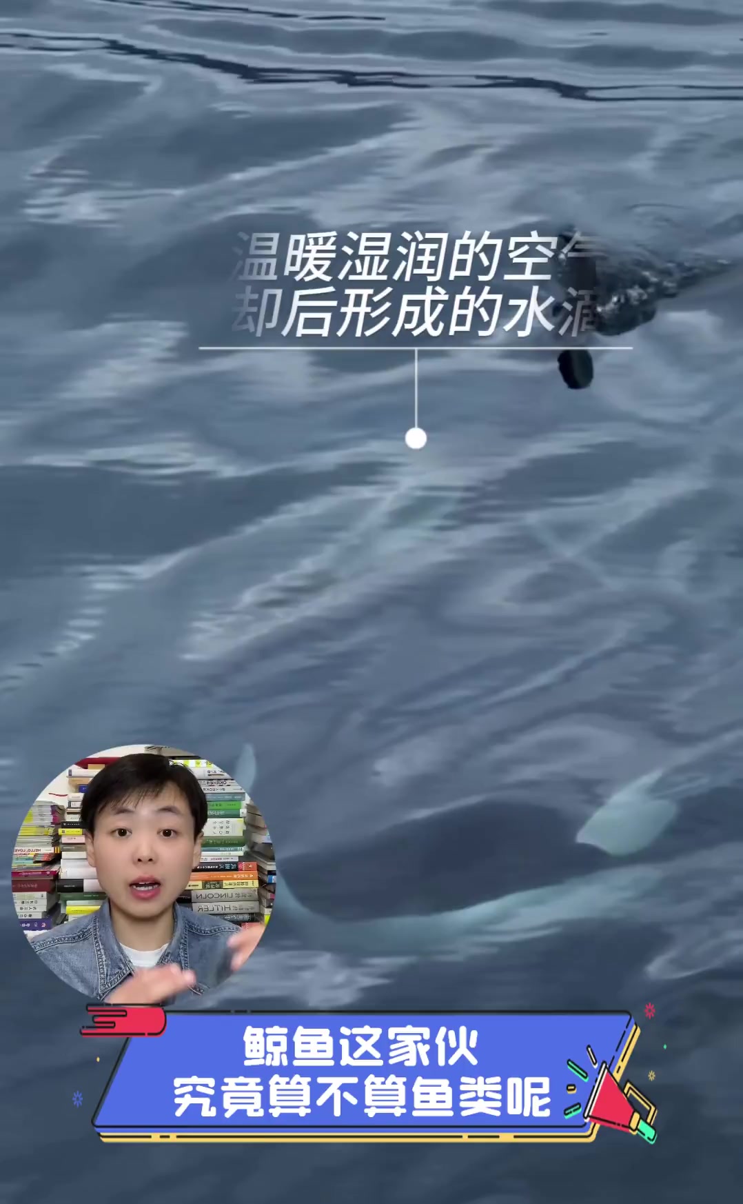 鲸鱼这家伙,究竟算不算鱼类呢