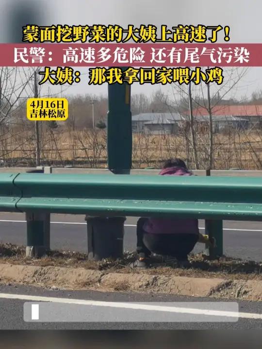 蒙面挖野菜的大姨上高速了!民警:高速多危险,还有尾气污染。大姨:那我拿回家喂小鸡!