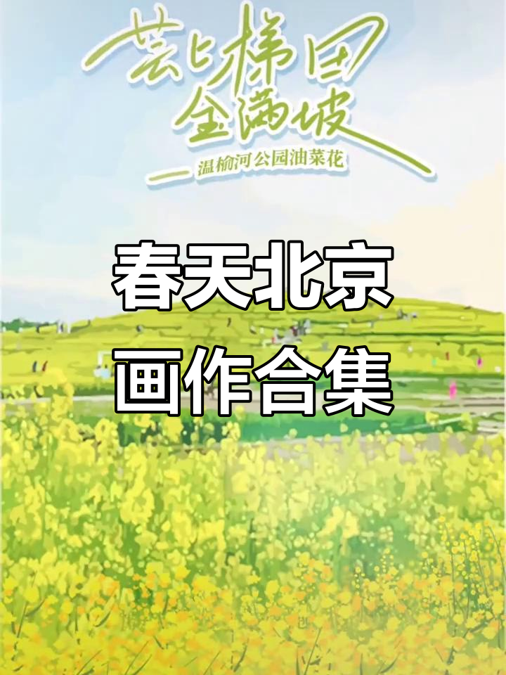 北京春天的色彩,每一张都是壁纸级别的美丽