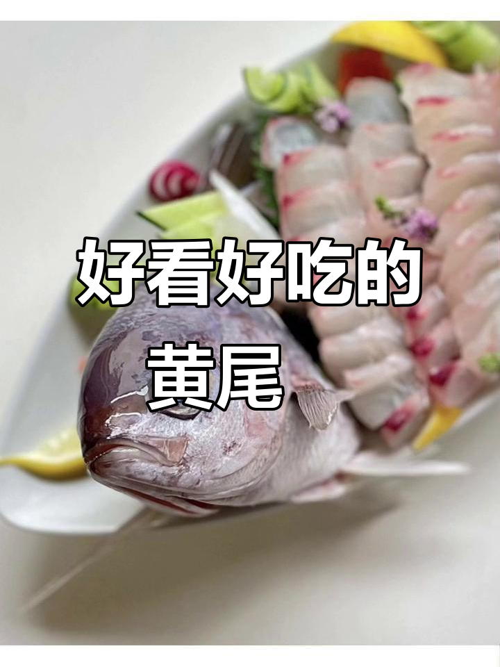 黄尾鮗:美味又好看的海鱼,钓鱼的乐趣你体验过吗?
