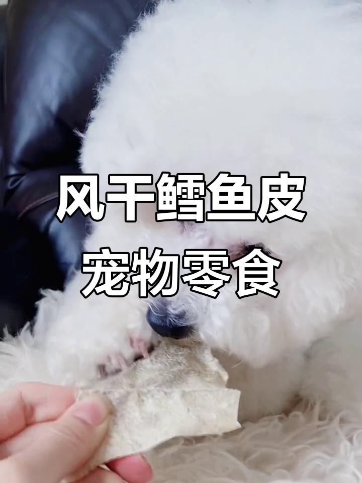 毛孩子无聊拆家?试试这款风干鳕鱼皮,磨牙洁齿又营养