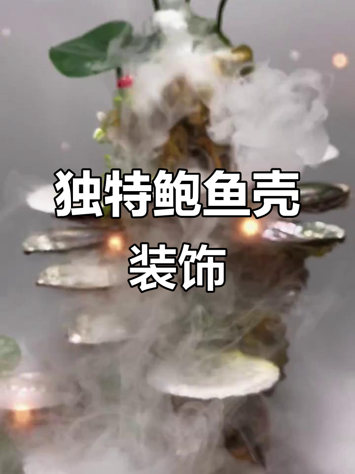 鲍鱼壳创意盘饰,意境满满,超惊艳!