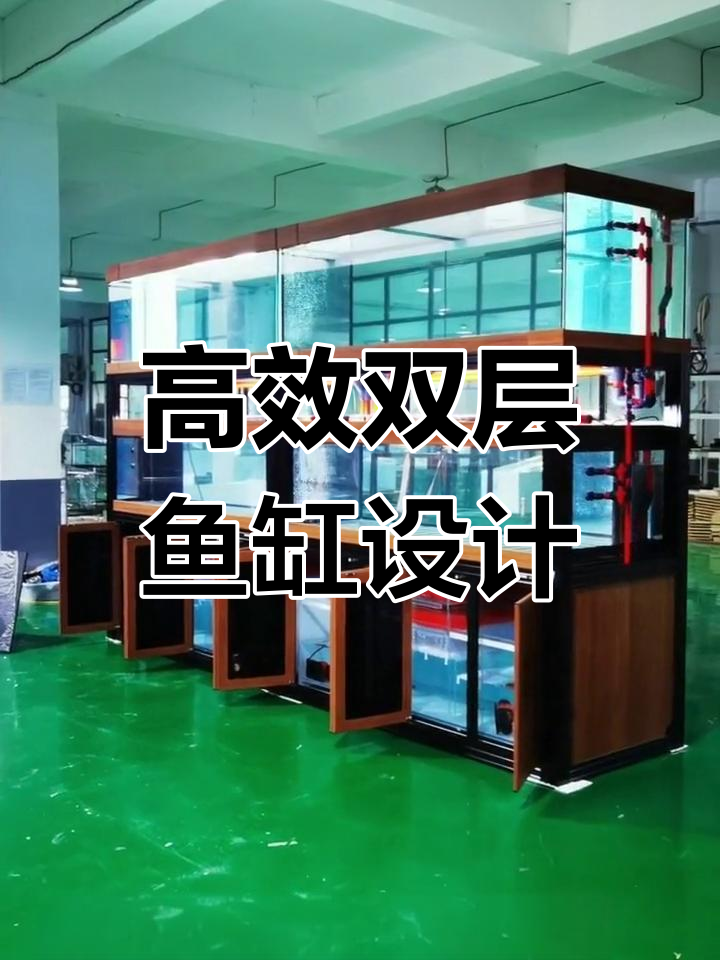 双层鱼缸设计解析:独立循环与强排系统