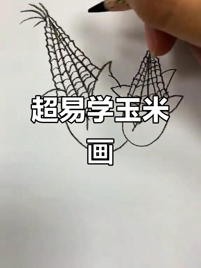 超级简单玉米简笔画，轻松学会！