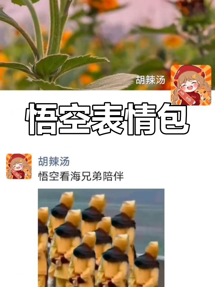 孙悟空表情包大集合