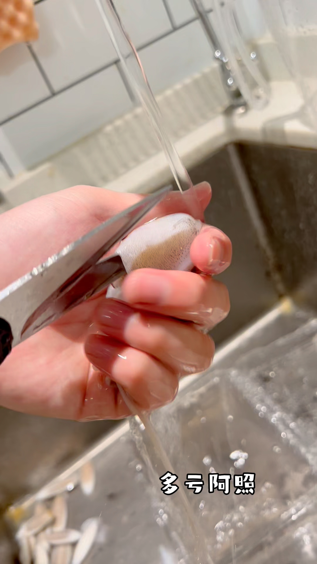 跟阿照学清理墨鱼仔