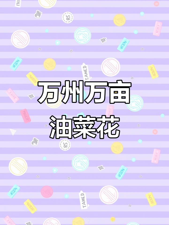 万州油菜花盛开,超大面积田园美景等你来赏