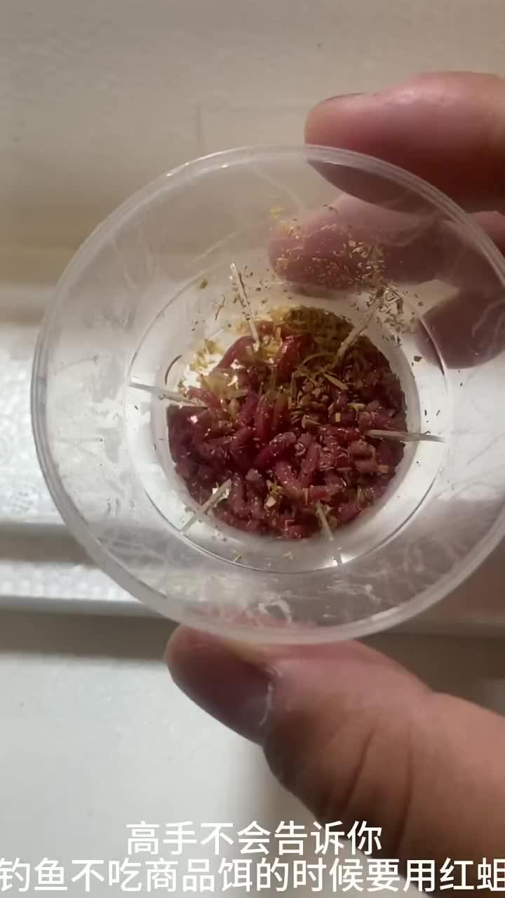 钓鱼高手推荐的神奇饵料!平东仔活饵 钓鱼狂开口 蛆虫 蛆虫钓鱼 钓鱼是抖音第一休闲运动