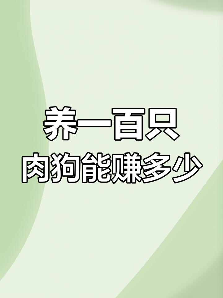 养殖肉狗的成本与收益分析:100条肉狗投资两万,赚八百