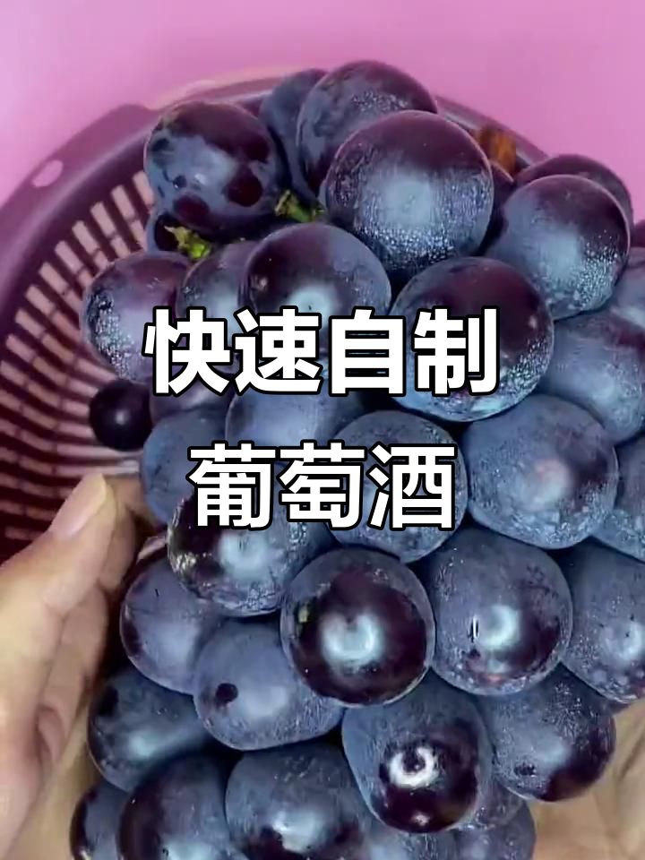 自制葡萄酒,简单又快速,一个月就能享用!