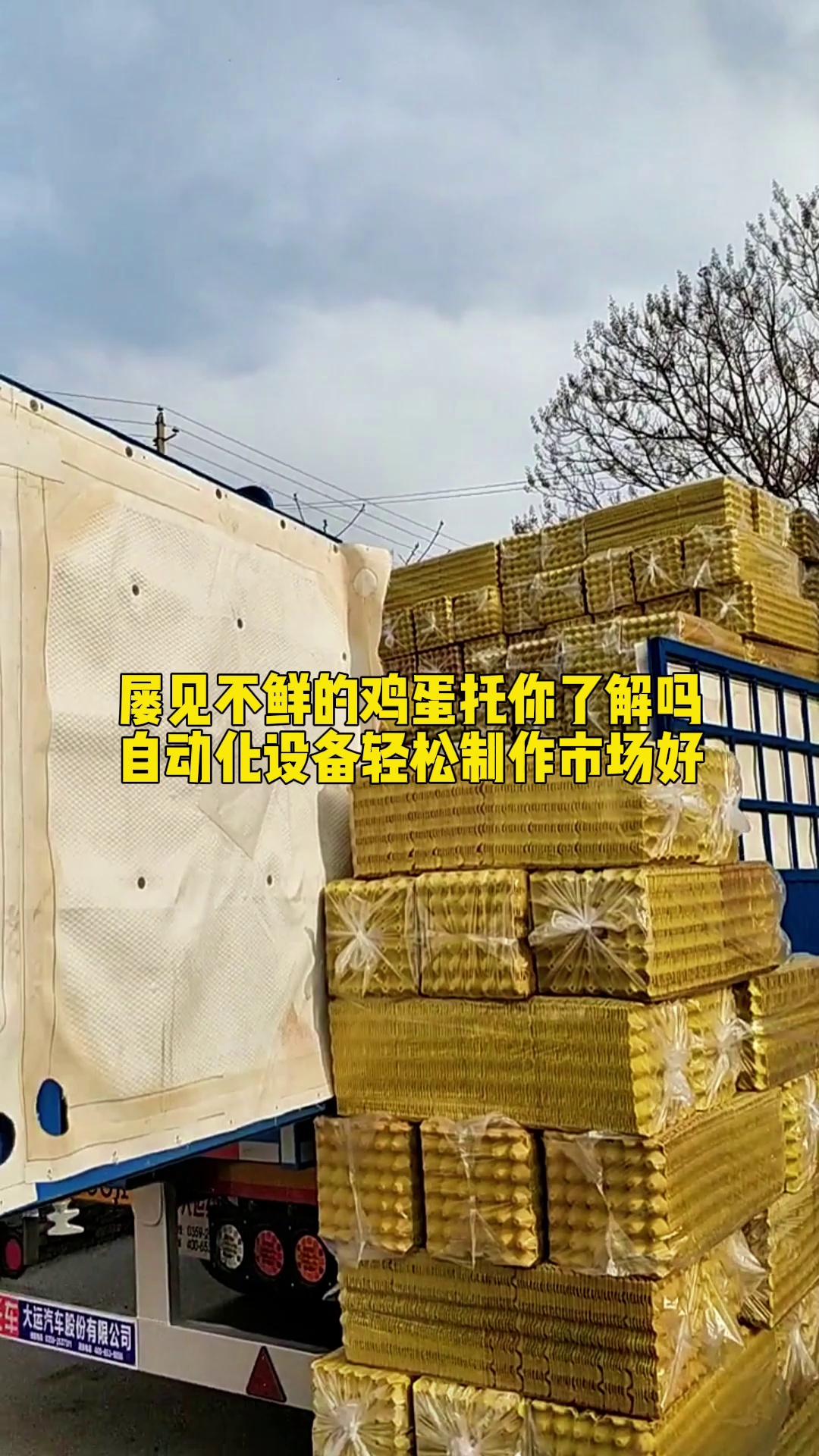 鸡蛋托你知道是怎么做出来的吗?这个视频里有答案 鸡蛋托 蛋托机 鸡蛋蛋托
