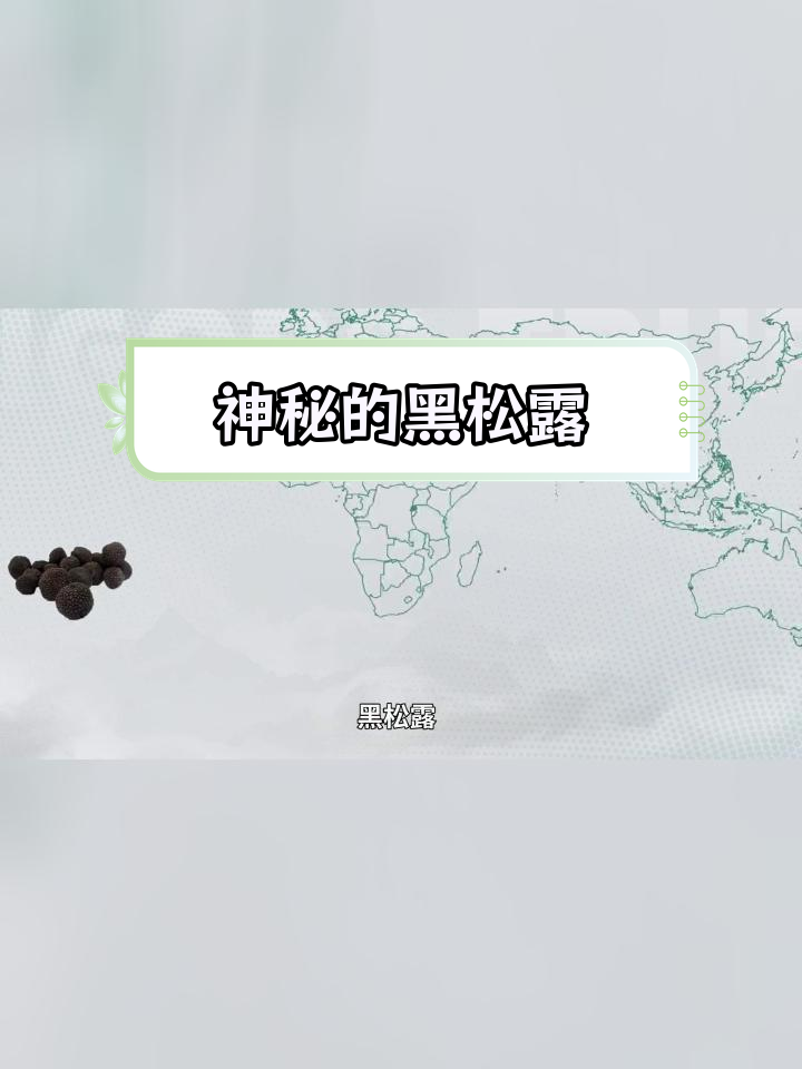 黑松露:餐桌上的“黑色钻石”
