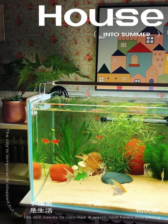 过滤桶如何连接的鱼缸,终于有人说清楚了!