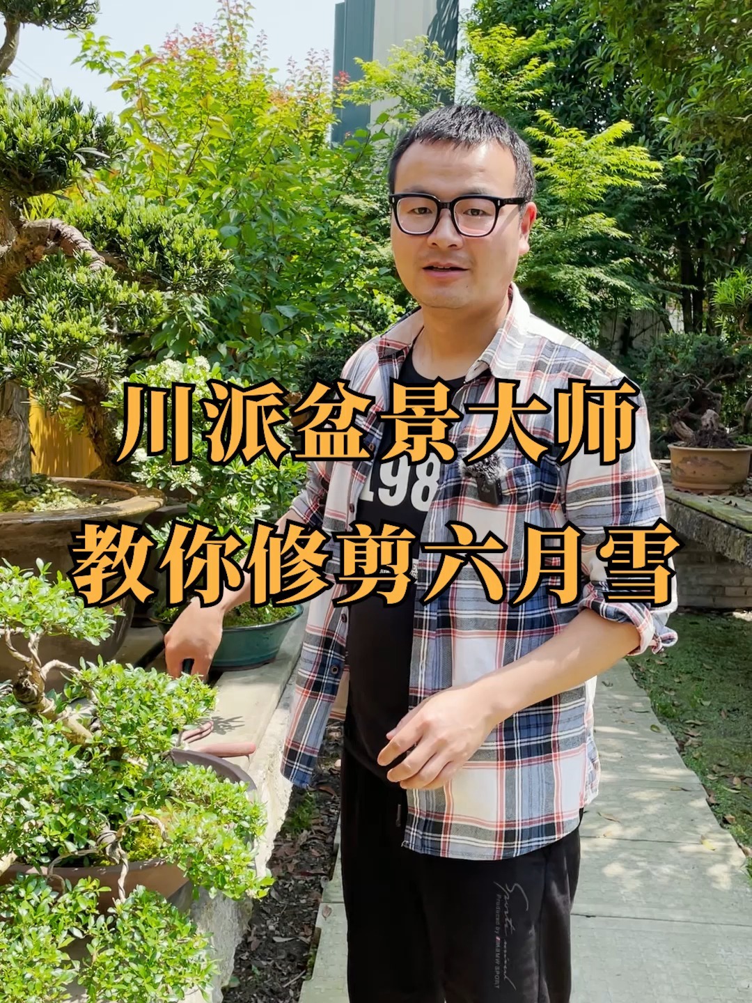 川派盆景大师“六月雪”简易修剪教学