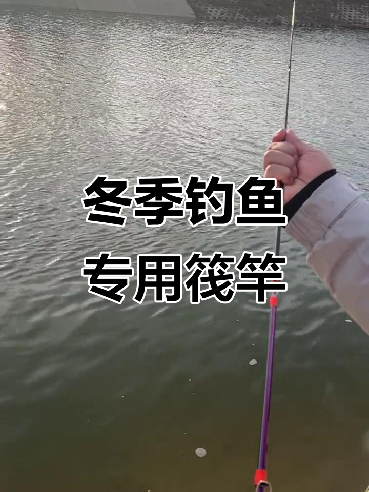冬季钓鱼必备:轻巧筏竿,轻松钓鲫鱼、黄辣丁