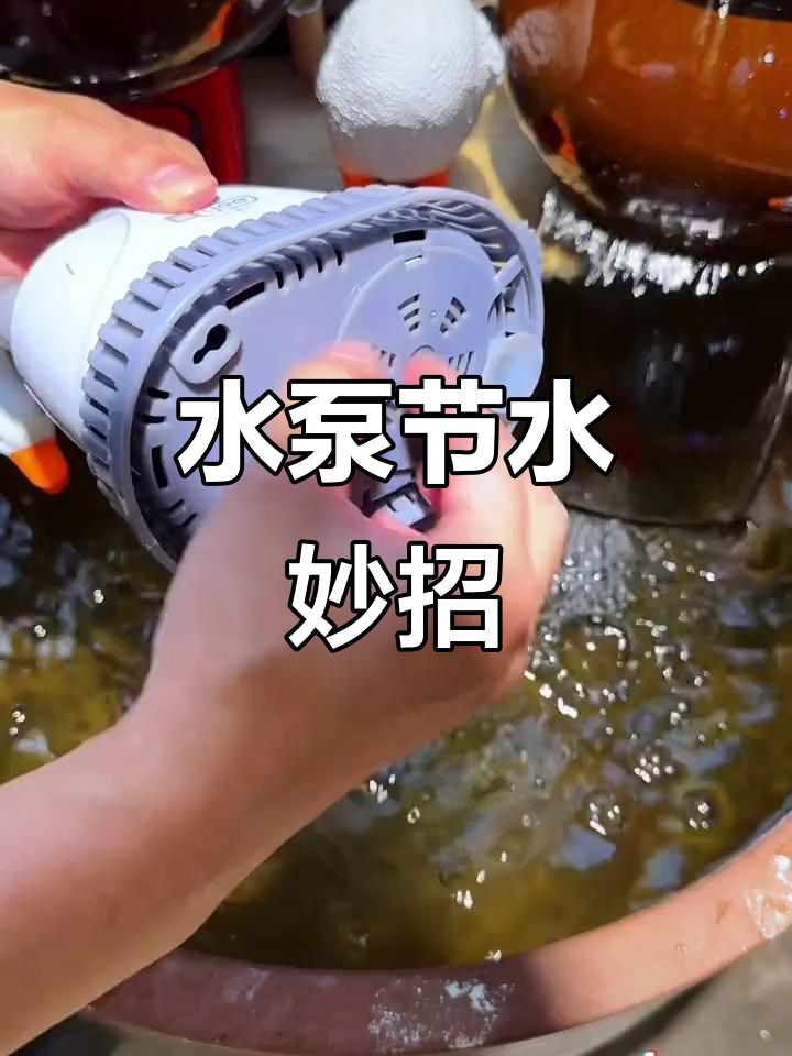 安装水泵,轻松过滤鱼缸水,节能又省电!