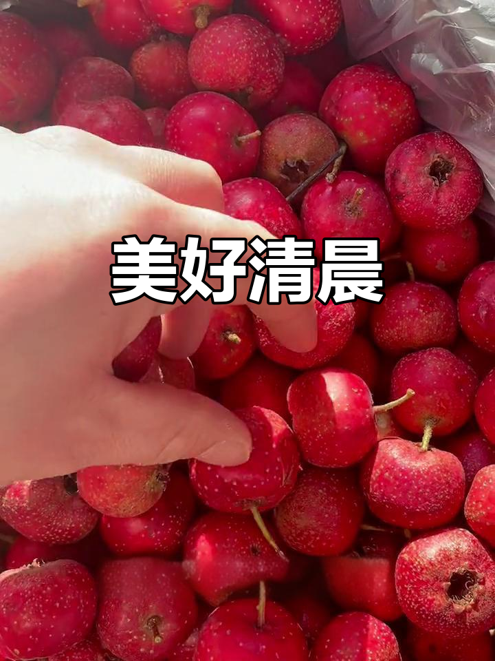 早晨收到水果,心情如蛋糕般甜蜜,山楂味继续热销!