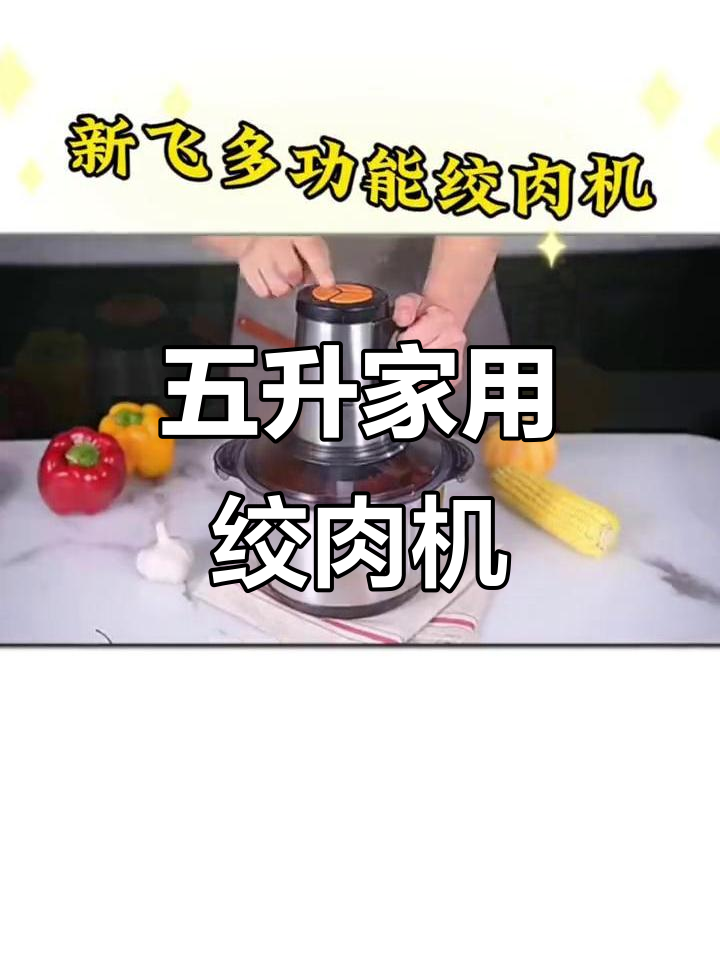 家用电动绞肉机,五升大容量多功能料理,轻松搞定馅料和蒜蓉