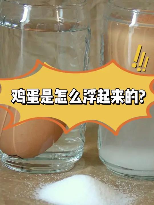 鸡蛋为什么会浮起来?探知科技馆 好奇中国 同上一堂趣味科学课