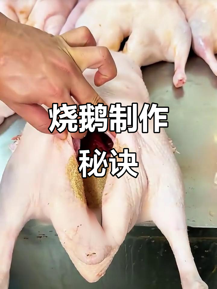 揭秘广式烧鹅的独特做法，配方大公开！