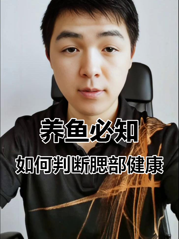 鱼腮问题大揭秘,看懂这些症状少一半烦恼