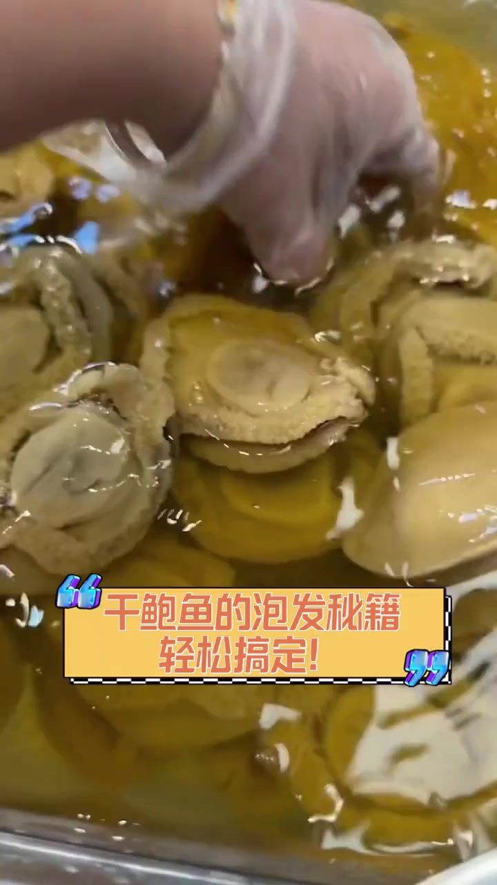 干鲍鱼的泡发秘籍,轻松搞定!