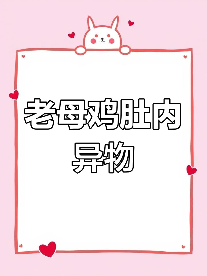 杀鸡时发现肚子里的神秘硬物,像蛋黄又像石头