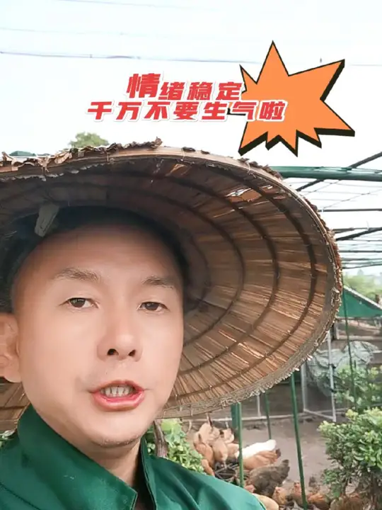记录农村散养土鸡生活,引发怎样的人生感悟?