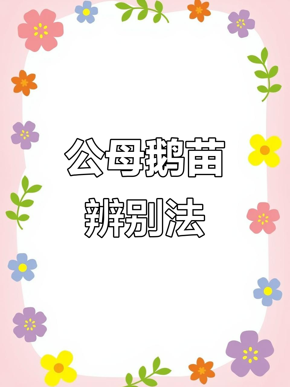 鹅苗公母分辨小技巧,鼻孔形状一招搞定