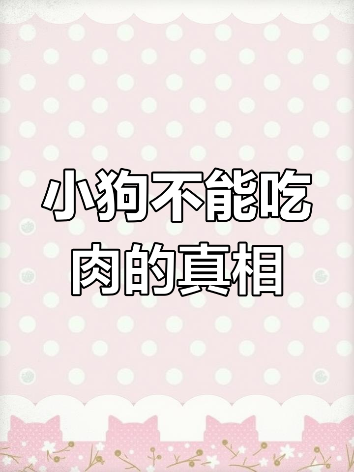 小狗为何不能过早吃肉?了解原因和影响