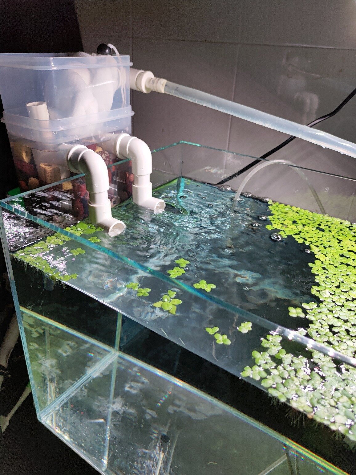 自制鱼缸过滤器