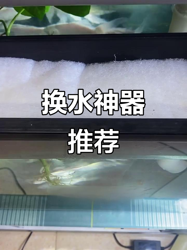 过滤槽小?加个分离器,换水更省事!