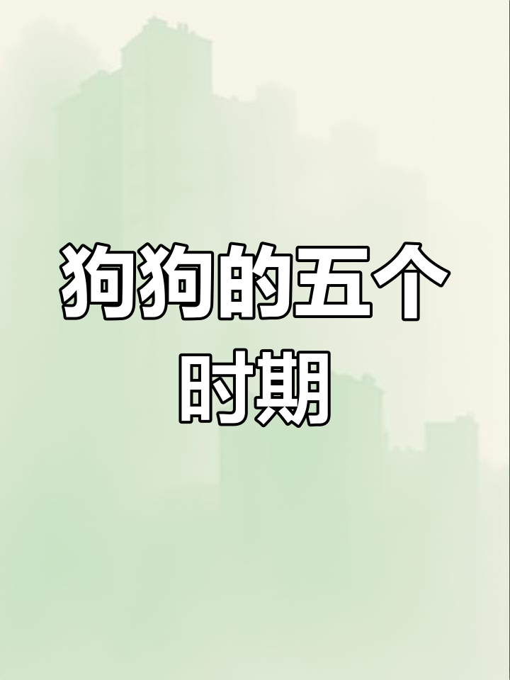 狗狗成长五大阶段解析