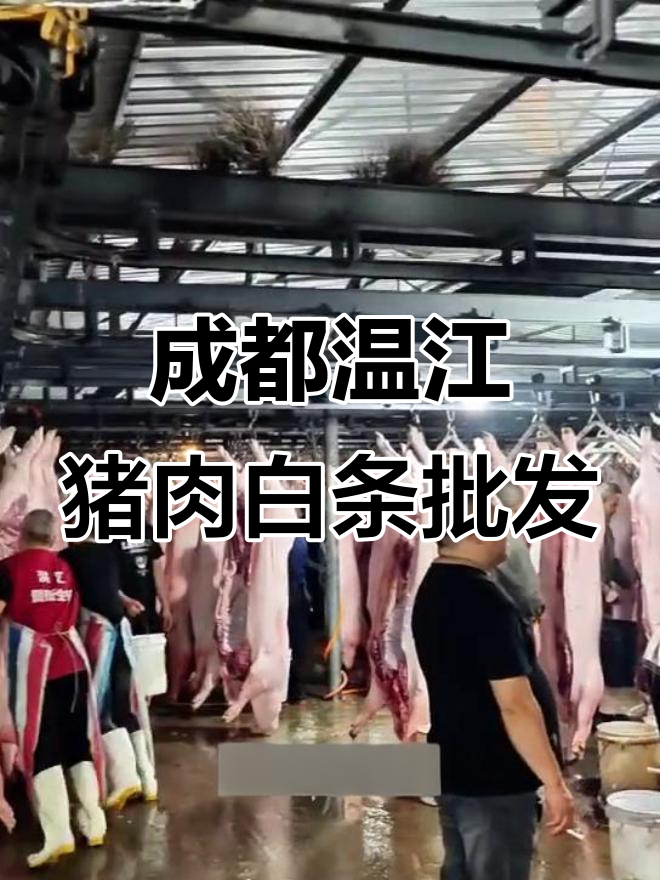 探访温江区最大猪肉白条批发市场,凌晨两点到六点热销八百头