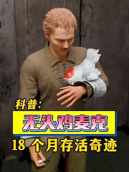 无头鸡麦克：18 个月存活奇迹