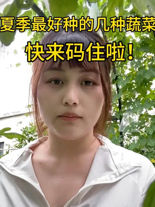 夏季最好种的又耐热的几种蔬菜给大家整理出来啦,快点种起来吧～