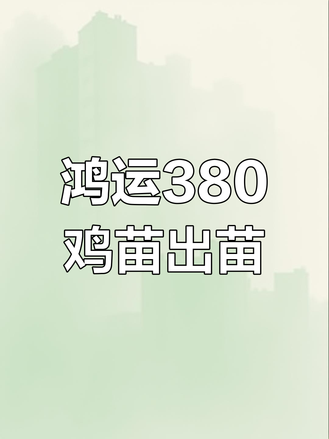 红玉380鸡苗注射马利克,可长至10斤大公鸡