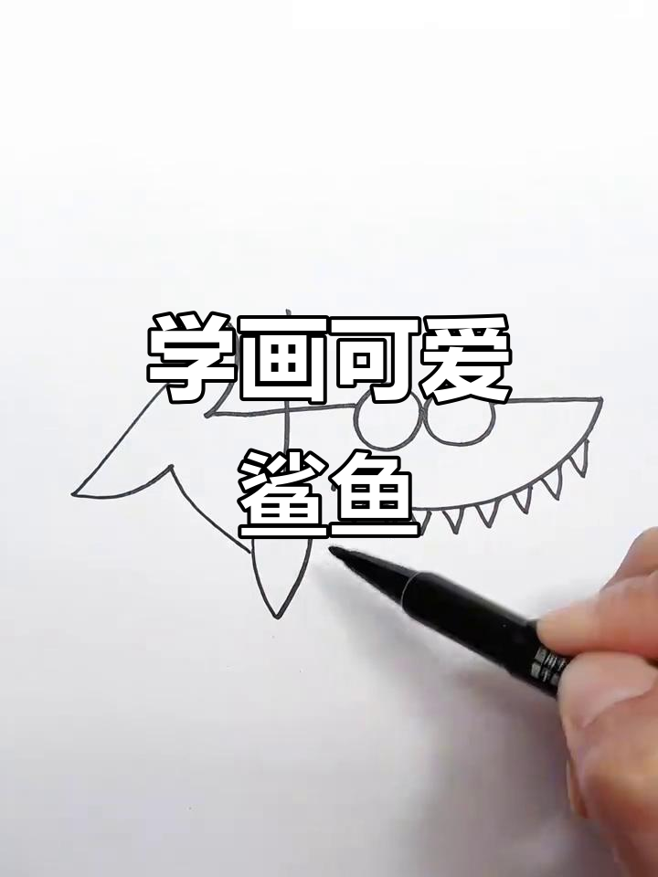鲨鱼也能画，动物简笔画教程来啦
