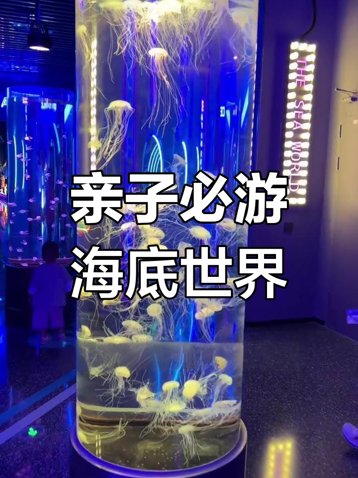 厦门海洋王国:12场水下表演与超多打卡点