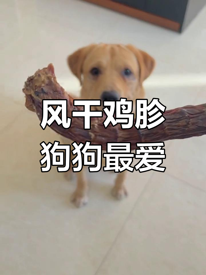 今日自制狗零食:风干鸡胗,增强消化功能