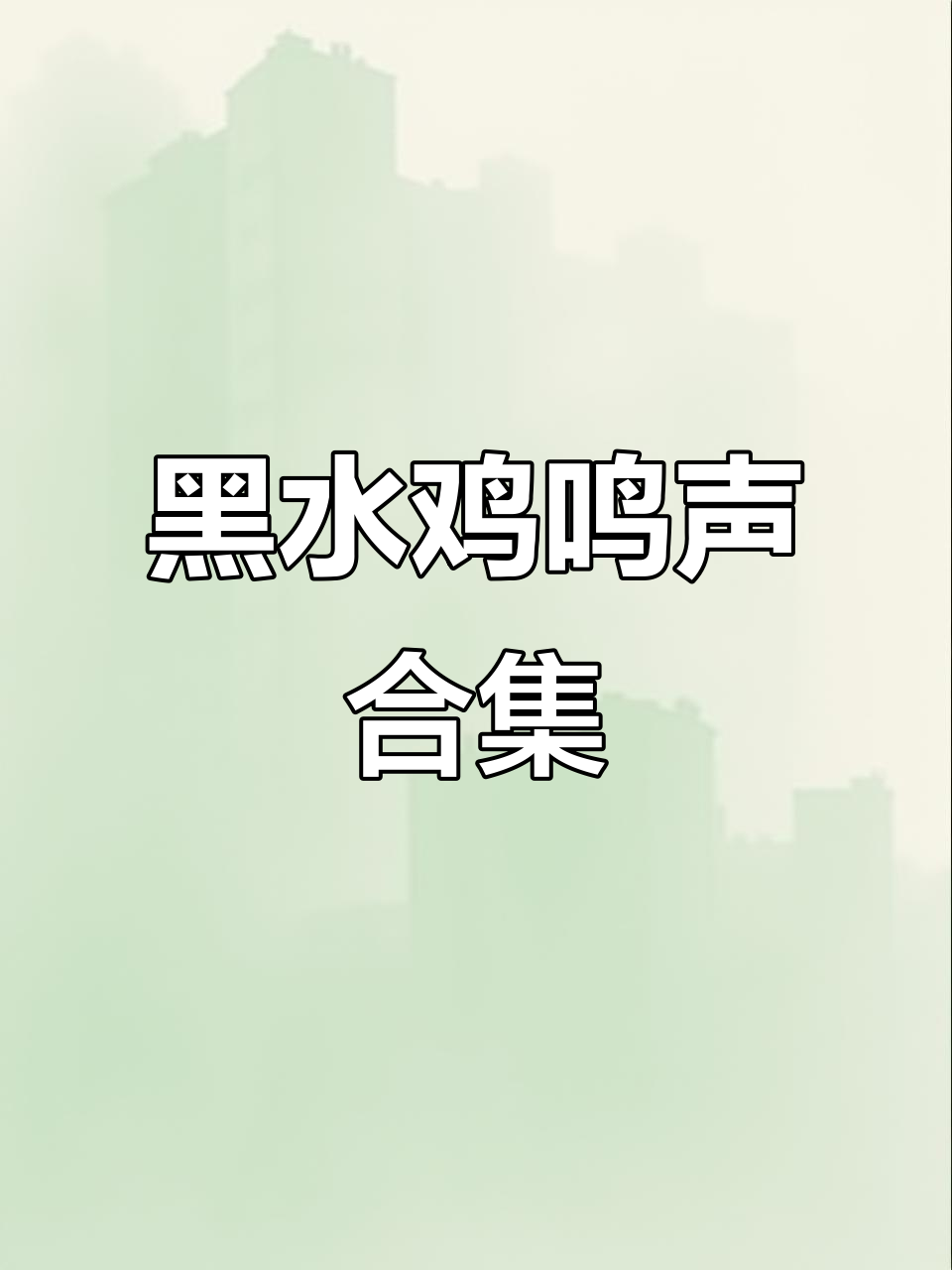 黑水鸡四季叫声大赏,动听悦耳如歌