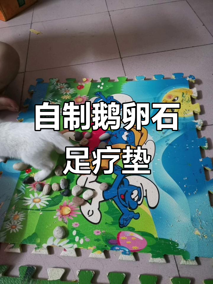 自制鹅卵石脚垫,猫咪帮忙体验按摩乐趣