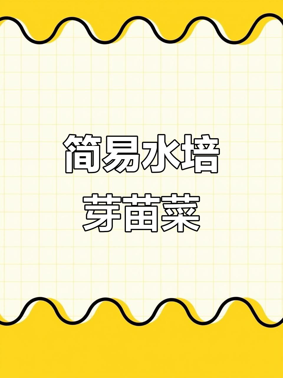 用餐盒种出美丽芽苗菜,简单又健康!