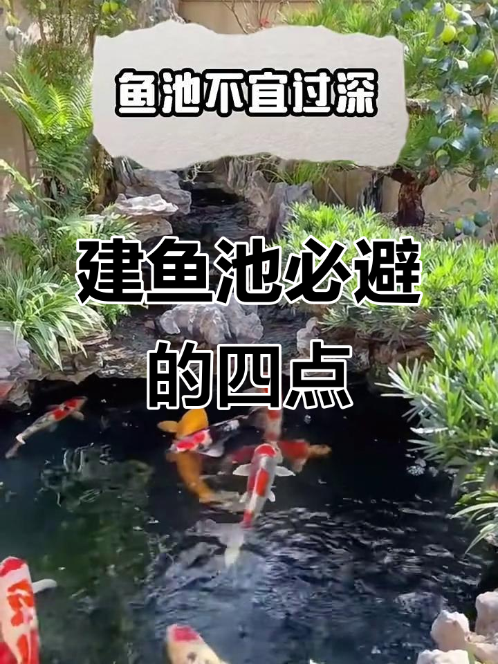 建造鱼池的四大禁忌，避开这些让财运滚滚来