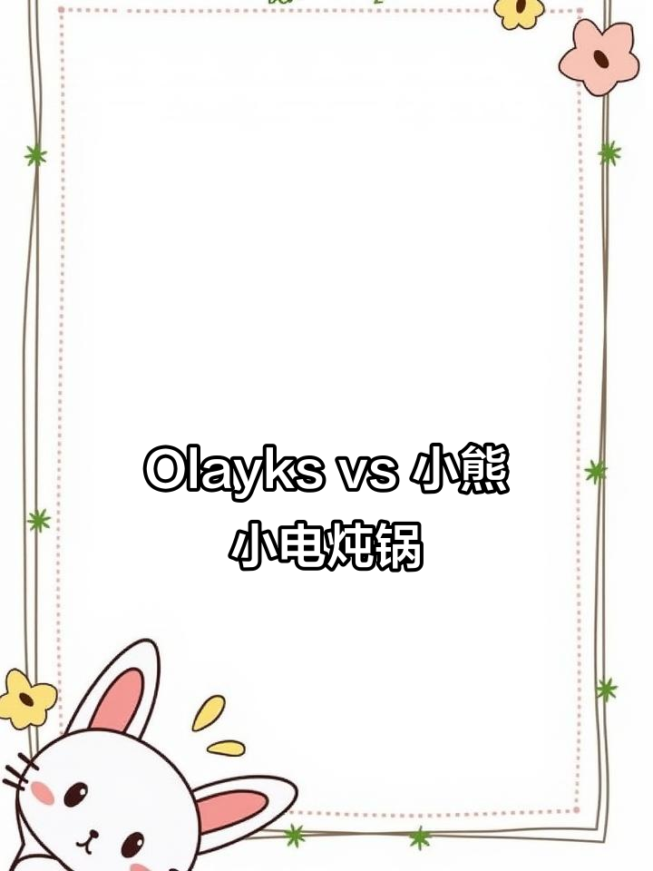 小电炖锅对比:Olayks与小熊,哪个更胜一筹?